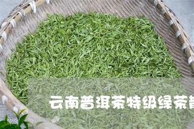 云南普洱茶特级绿茶散茶/2023082834258