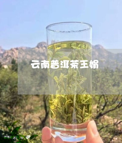 云南普洱茶王娟/2023112696928