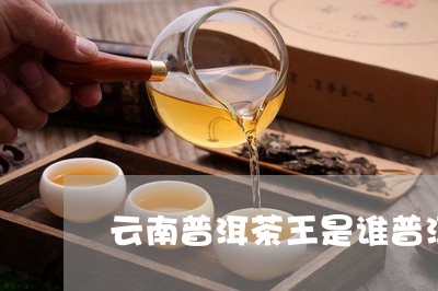 云南普洱茶王是谁普洱茶之父张/2023053095260