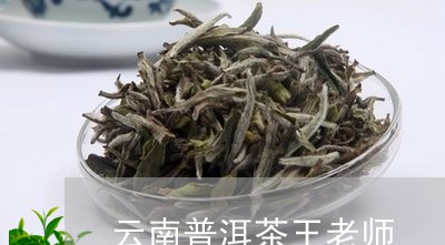 云南普洱茶王老师/2023081692706