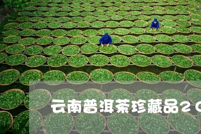 云南普洱茶珍藏品2011年多少钱/2023060387251