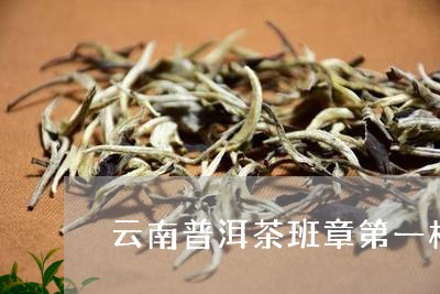 云南普洱茶班章第一村/2023092621735