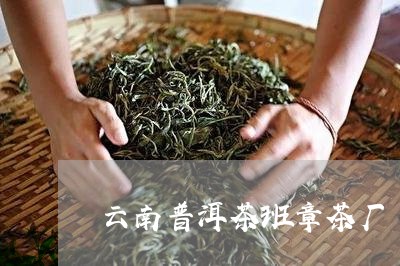 云南普洱茶班章茶厂/2023042821614