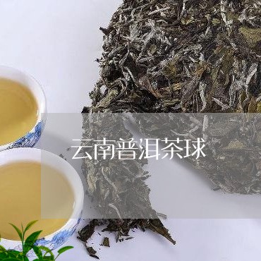 云南普洱茶球/2023042707687