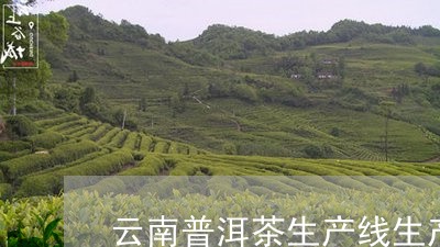 云南普洱茶生产线生产厂家/2023110553840