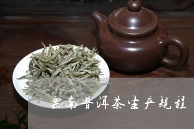 云南普洱茶生产规程/2023071025960