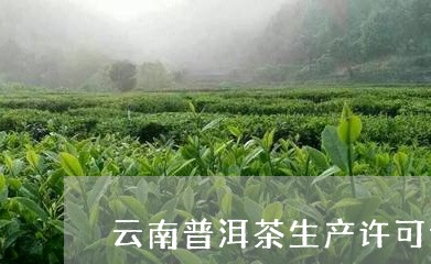 云南普洱茶生产许可证/2023062164948