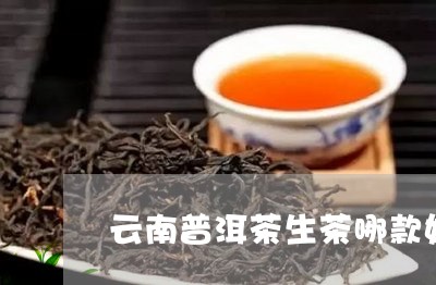 云南普洱茶生茶哪款好/2023100699589