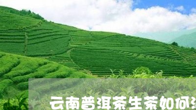 云南普洱茶生茶如何泡/2023100796269