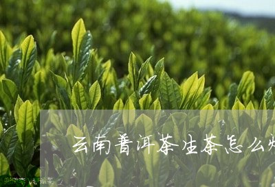 云南普洱茶生茶怎么炒/2023080205040