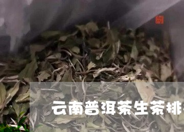 云南普洱茶生茶排名/2023120528470