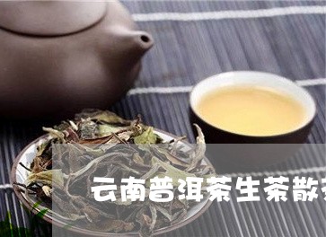 云南普洱茶生茶散茶/2023091459682