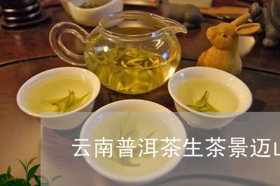 云南普洱茶生茶景迈山/2023062380383