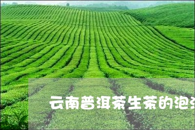 云南普洱茶生茶的泡法/2023120663969