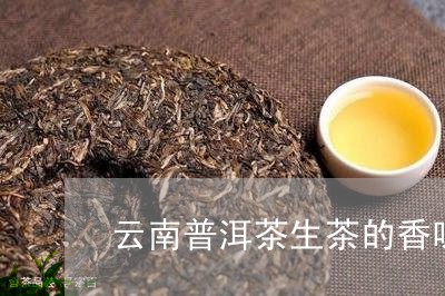 云南普洱茶生茶的香味有几种/2023081746480