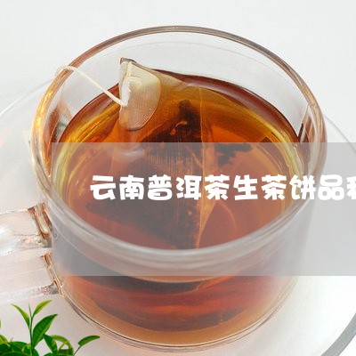 云南普洱茶生茶饼品种/2023100799490