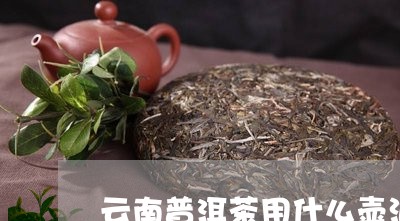 云南普洱茶用什么壶泡/2023062454838