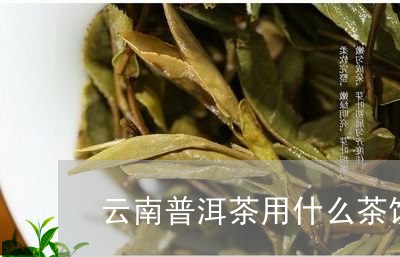 云南普洱茶用什么茶饼/2023100771582