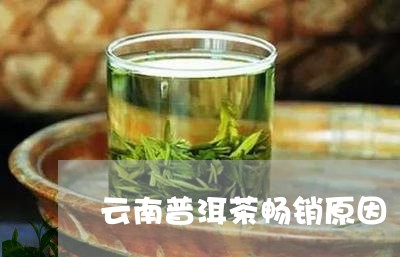 云南普洱茶畅销原因/2023070806269