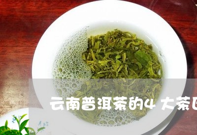 云南普洱茶的4大茶区/2023062390572