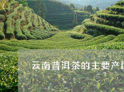 云南普洱茶的主要产区是/2023082802605