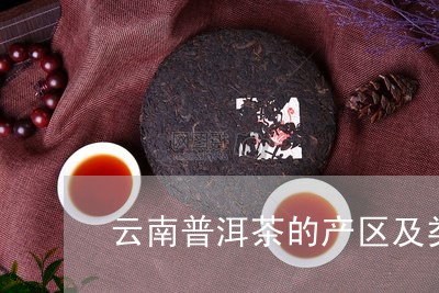 云南普洱茶的产区及类别/2023122097360