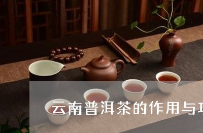 云南普洱茶的作用与功效及禁忌/2023053008379