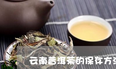 云南普洱茶的保存方法有哪些/2023052877957