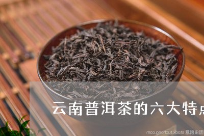 云南普洱茶的六大特点/2023092741927