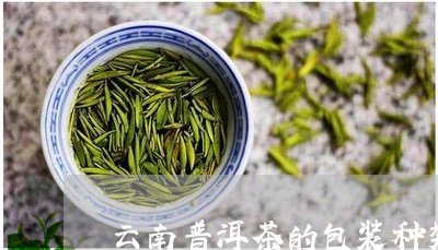 云南普洱茶的包装种类/2023100880483