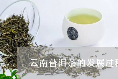 云南普洱茶的发展过程/2023062396267