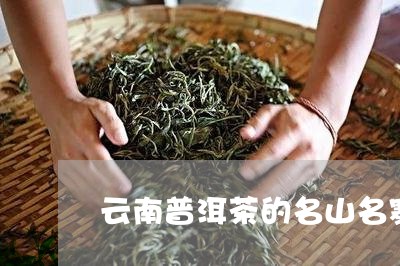 云南普洱茶的名山名寨/2023073127159