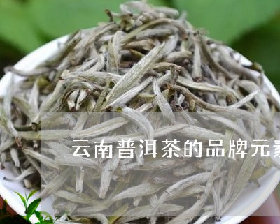 云南普洱茶的品牌元素/2023082806239