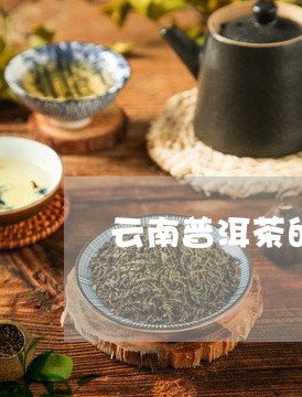 云南普洱茶的品牌加盟/2023092507959