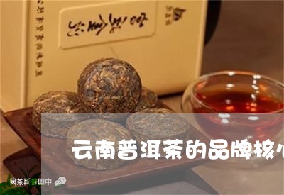 云南普洱茶的品牌核心价值观/2023082883169