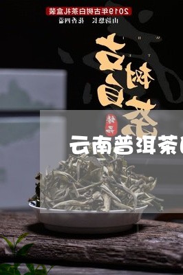 云南普洱茶的品级和特点/2023082857058