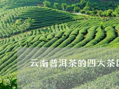 云南普洱茶的四大茶区/2023062237693