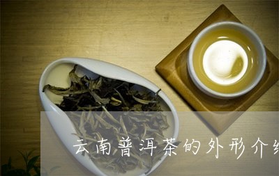 云南普洱茶的外形介绍/2023100839836