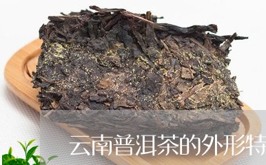 云南普洱茶的外形特征/2023100636139