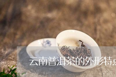 云南普洱茶的外形特点/2023100815068