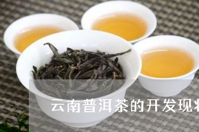 云南普洱茶的开发现状/2023061834172