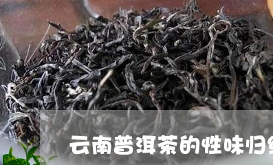 云南普洱茶的性味归经/2023061795369