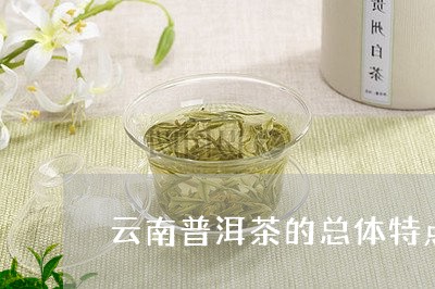 云南普洱茶的总体特点/2023120779384