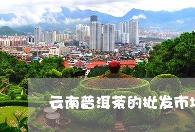 云南普洱茶的批发市场/2023061699471