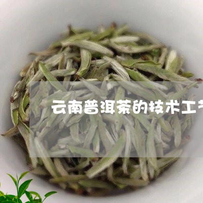 云南普洱茶的技术工艺/2023073135159