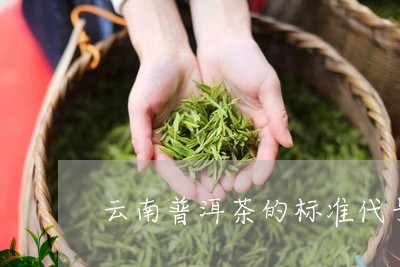 云南普洱茶的标准代号/2023062435259