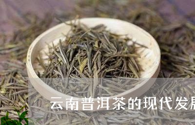 云南普洱茶的现代发展/2023062371515