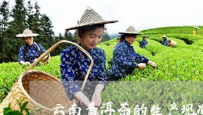 云南普洱茶的生产现状/2023100649475