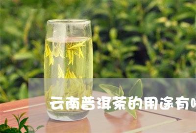 云南普洱茶的用途有哪些/2023110540707