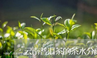 云南普洱茶的茶水分离/2023062216049